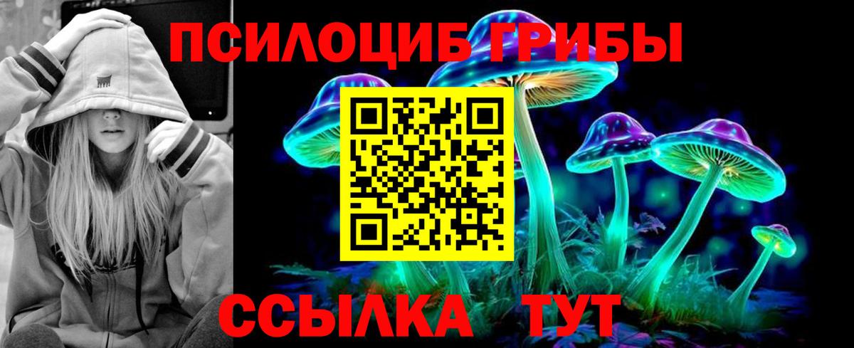 Сыктывкар  Псилоцибиновые грибы мицелий  Вход с VPN 